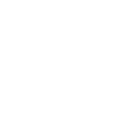 Logo serveur MCP TrustyData